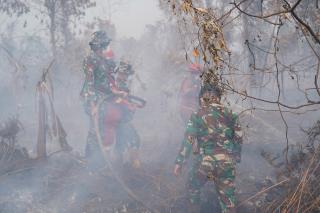 Sinergi TNI, Polri dan Manggala Agni Terus Padamkan Karhutla Riau